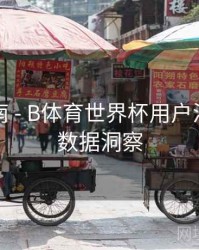 预测指南 - B体育世界杯用户活跃行为数据洞察