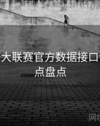 B体育五大联赛官方数据接口介绍 - 焦点盘点