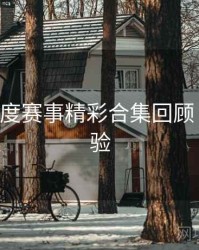 B体育年度赛事精彩合集回顾｜用户体验