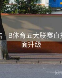 统计报告 - B体育五大联赛直播画质全面升级