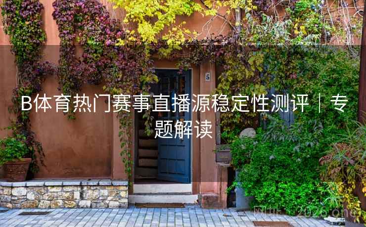 B体育热门赛事直播源稳定性测评｜专题解读