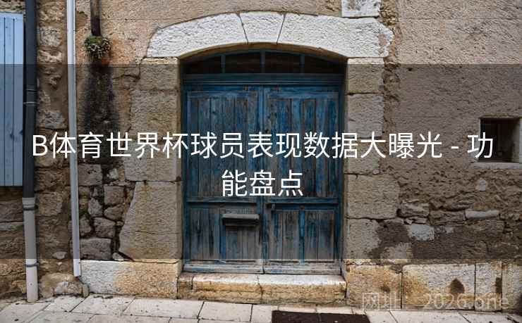 B体育世界杯球员表现数据大曝光 - 功能盘点
