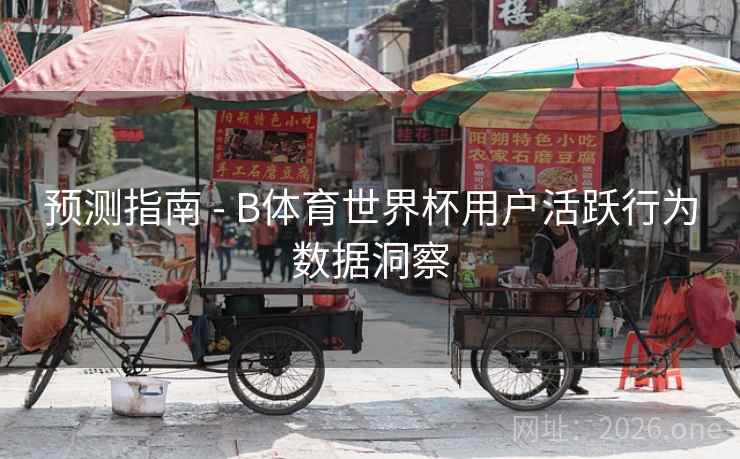 预测指南 - B体育世界杯用户活跃行为数据洞察