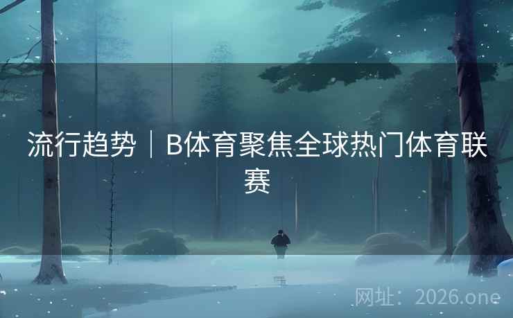 流行趋势｜B体育聚焦全球热门体育联赛