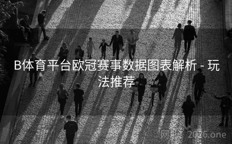 B体育平台欧冠赛事数据图表解析 - 玩法推荐