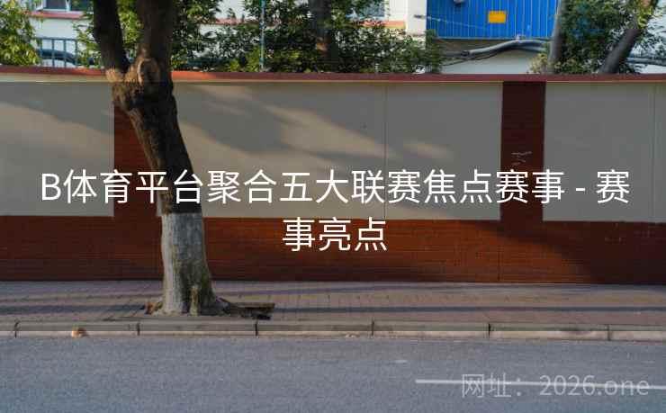 B体育平台聚合五大联赛焦点赛事 - 赛事亮点