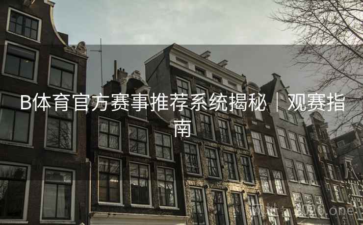 B体育官方赛事推荐系统揭秘｜观赛指南