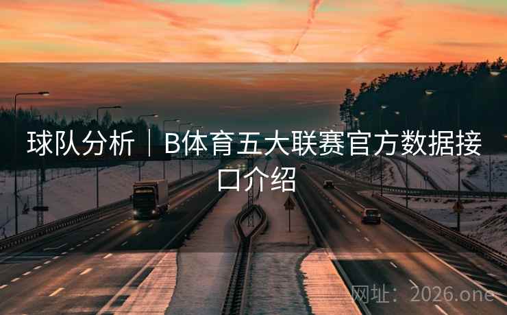 球队分析｜B体育五大联赛官方数据接口介绍