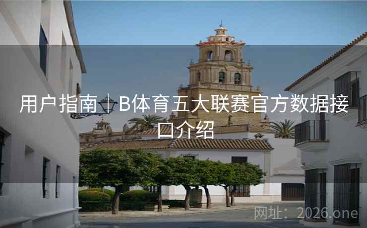 用户指南｜B体育五大联赛官方数据接口介绍