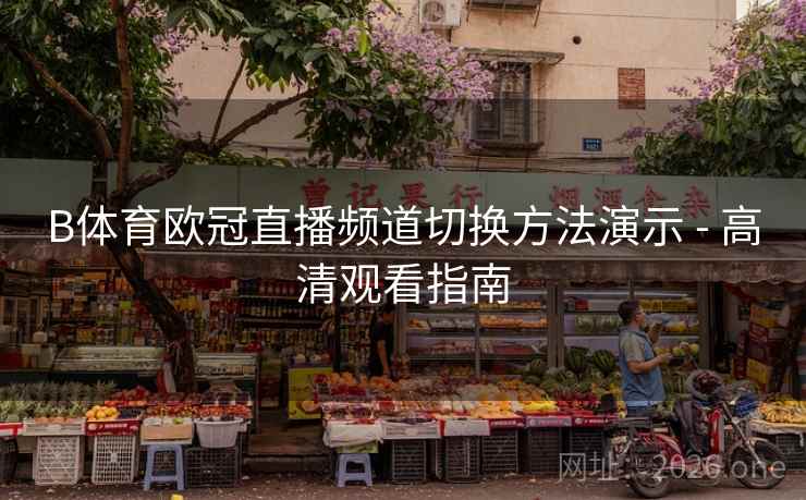 B体育欧冠直播频道切换方法演示 - 高清观看指南