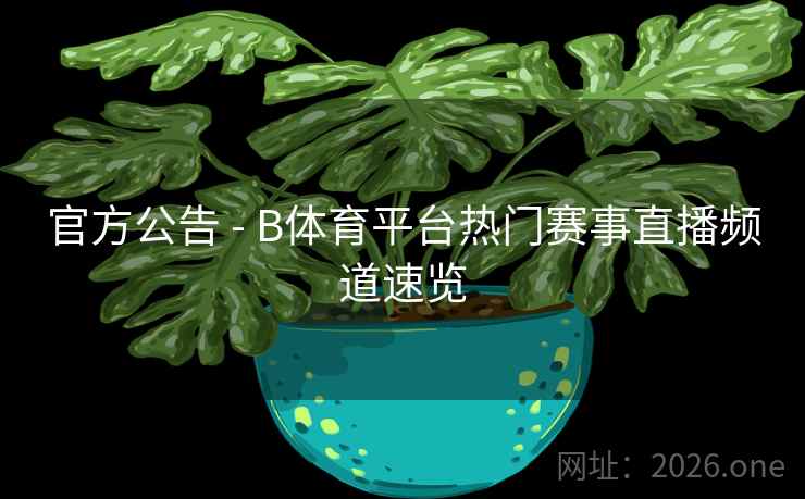 官方公告 - B体育平台热门赛事直播频道速览