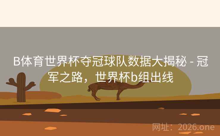 B体育世界杯夺冠球队数据大揭秘 - 冠军之路，世界杯b组出线
