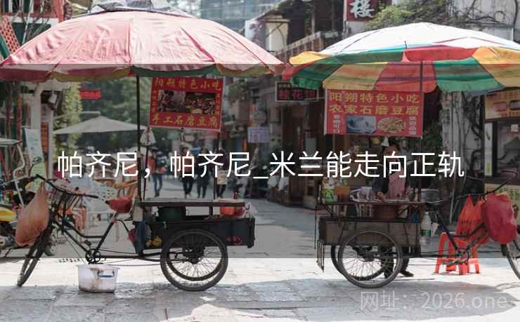 帕齐尼，帕齐尼_米兰能走向正轨