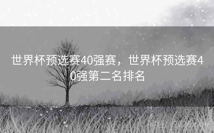 世界杯预选赛40强赛，世界杯预选赛40强第二名排名