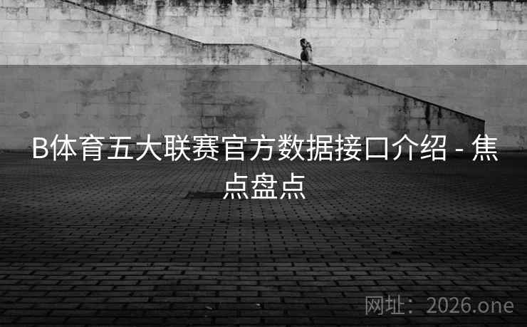 B体育五大联赛官方数据接口介绍 - 焦点盘点
