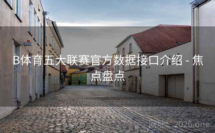 B体育五大联赛官方数据接口介绍 - 焦点盘点