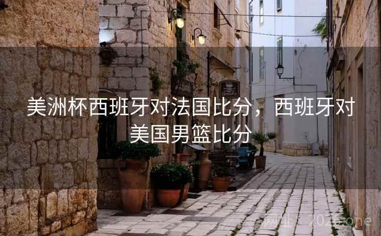 美洲杯西班牙对法国比分，西班牙对美国男篮比分